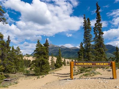 Carcross Desert